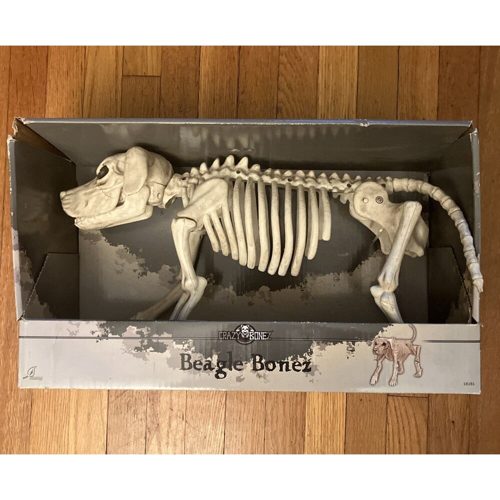 Beagle Bonez Skeleton Dog Halloween Decoration 20" Crazy Bone
